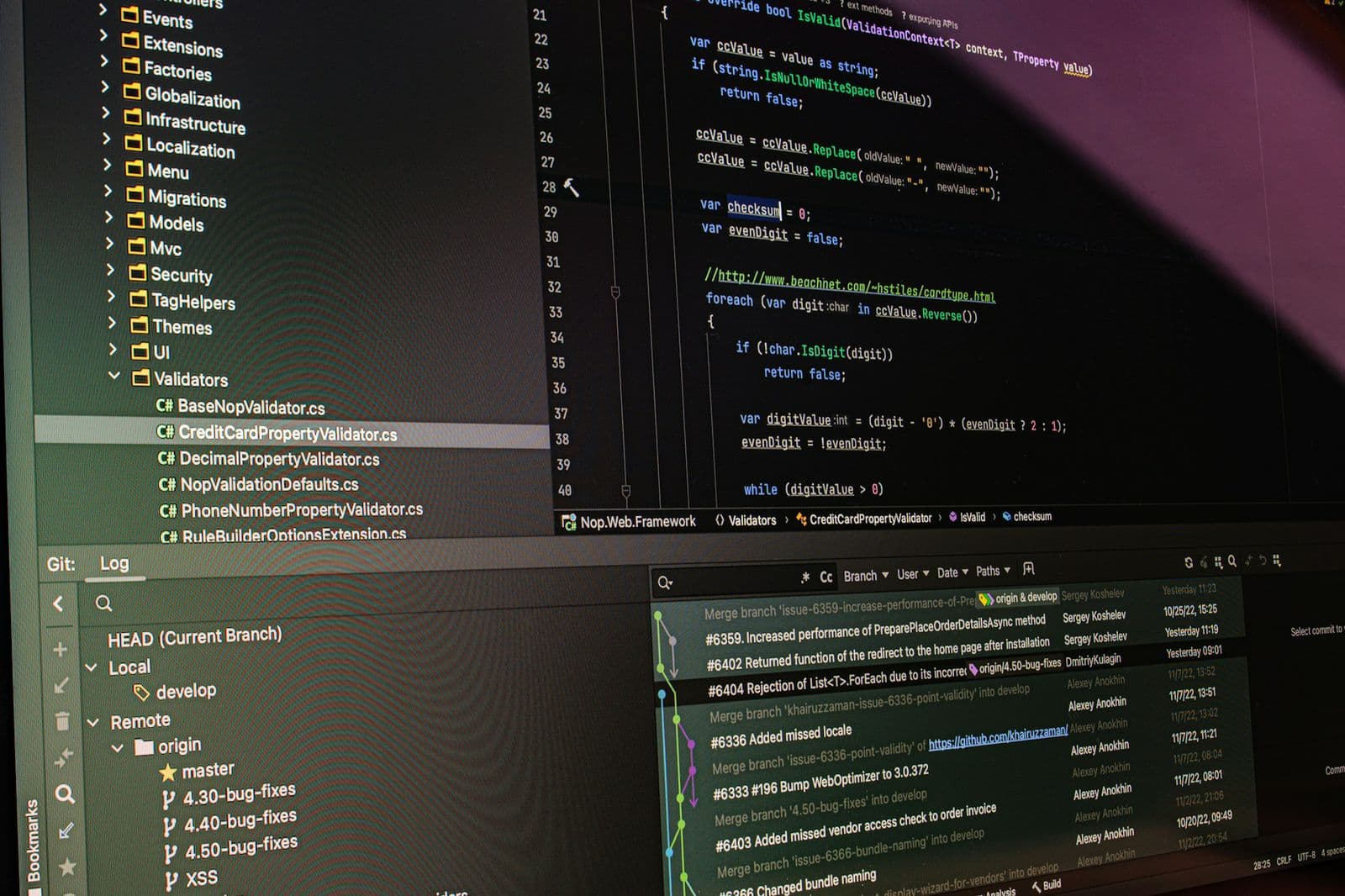 Custom software development and systems engineering